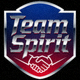 Team Spirit战队队标Logo