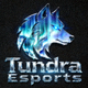 Tundra Esports战队队标Logo